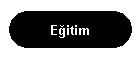 Eitim